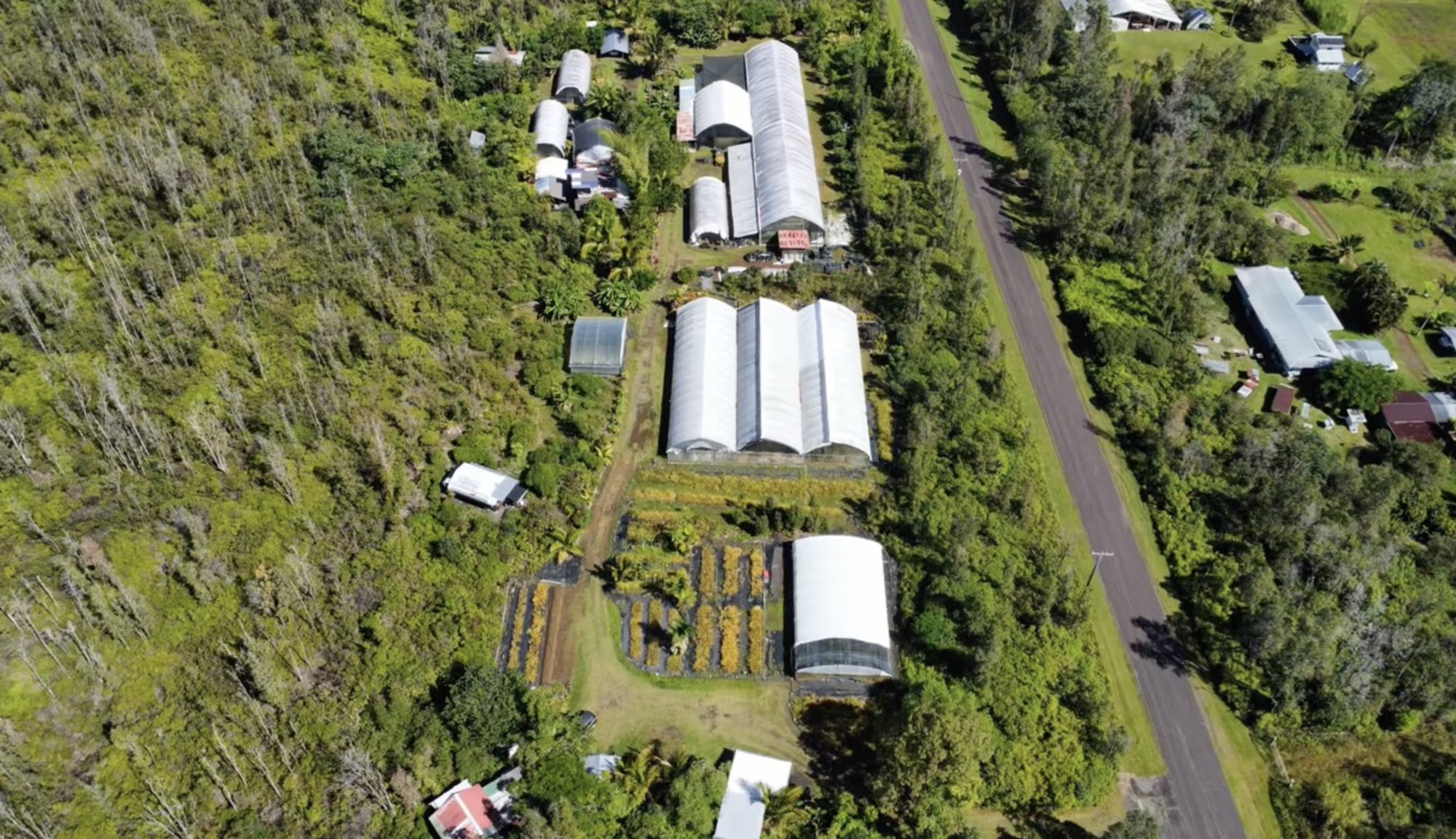 Aerial view showing the parcel and paved road