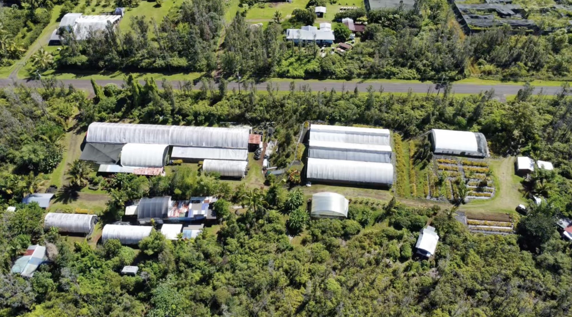 Aerial view of the greenhouses from the road side