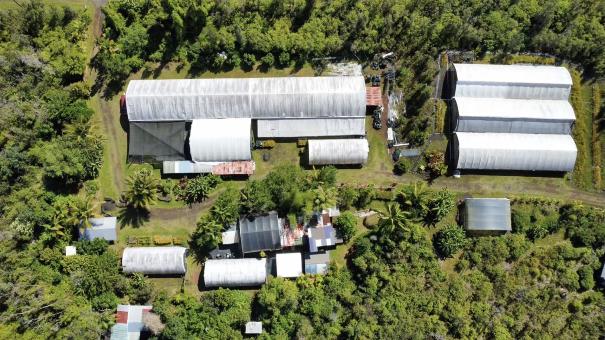 Aerial view of the greenhouse rows
