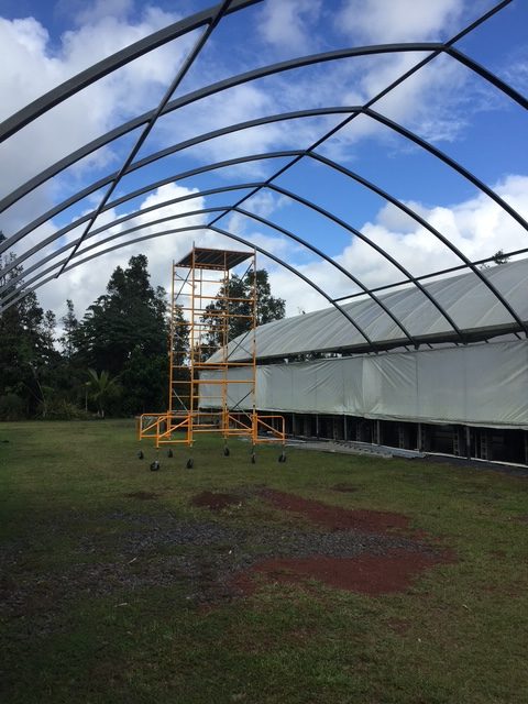 Greenhouse frame and open grounds