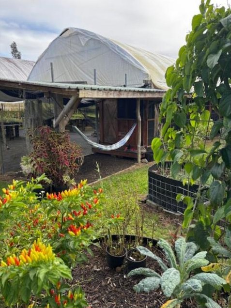 Garden beds in front of a greenhouse and covered work area